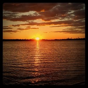 Meet your Posher, Omarz